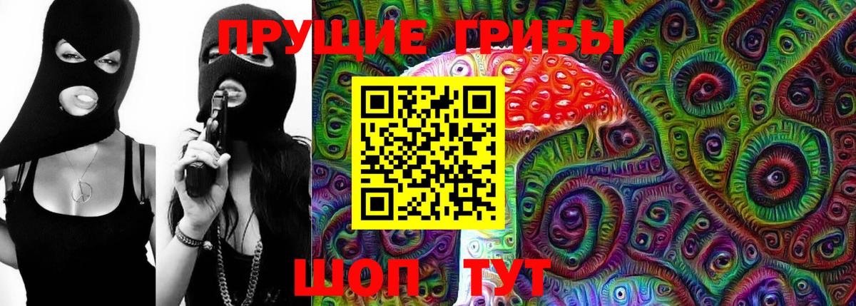 Торжок  Галлюциногенные грибы Magic Shrooms  Вход с VPN  Галлюциногенные грибы Psilocybine cubensis 
